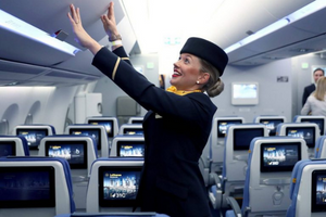 air hostess